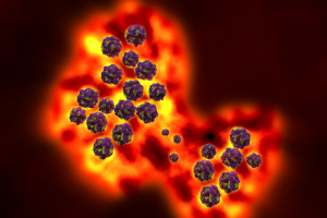 Norovirus: The Silent Killer Behind 1.5 million Deaths Every Year