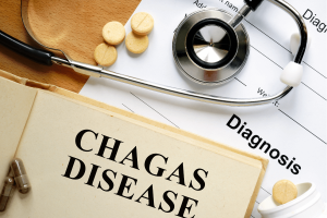 The Silent Spread of Chagas Disease in the United States