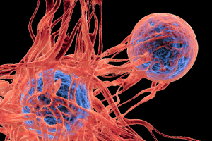 Microbial Engineering for Oncology: Harnessing Bacteria to Remodel the Tumor Microenvironment