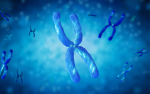 Extrachromosomal DNA Shapes Intratumor Genetic and Spatial Heterogeneity in Glioblastoma
