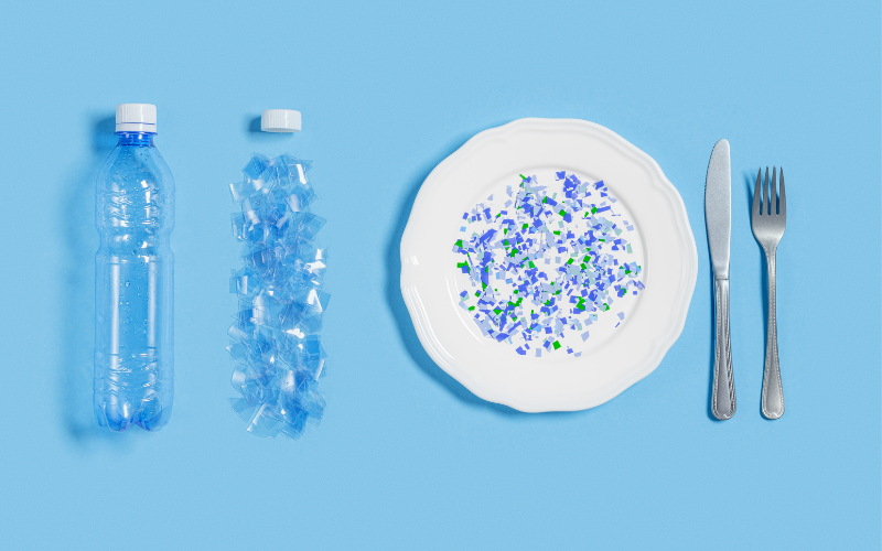 Microplastics and Nanoplastics effect on cardiovascular disease