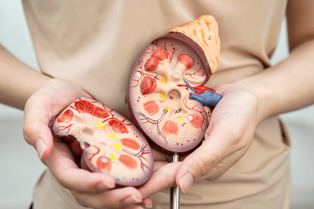 Gazyva for lupus nephritis