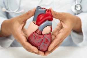 New Study Uncovers How the Brain Senses and Influences Heart Attacks