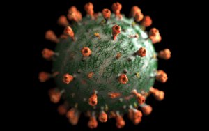 The Next Pandemic Candidates? Influenza D and Canine Coronavirus Under Scrutiny