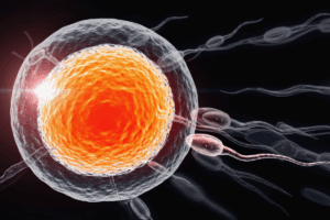 Assisted Reproductive Technology Shows Modest Impact on Childhood Immune Health